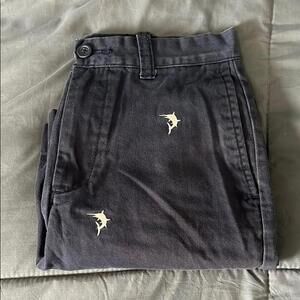 JCrew Factory Embroidered Chino Short Size 29
